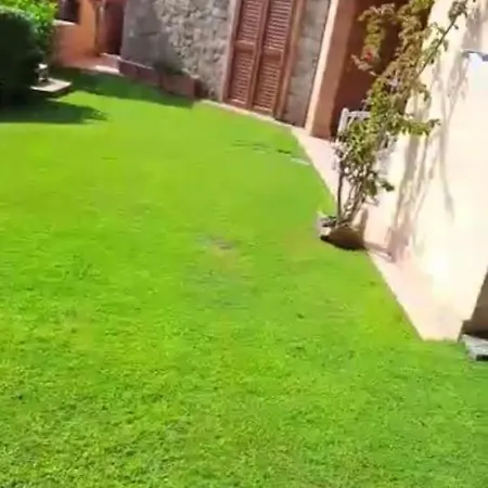 Zoe *